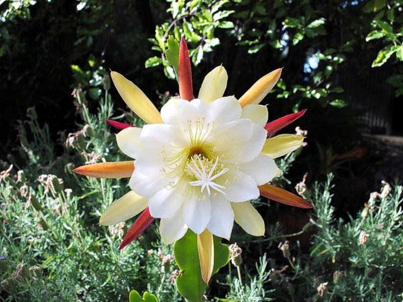 82 Tanahmerah Road, Balhannah SA 5242