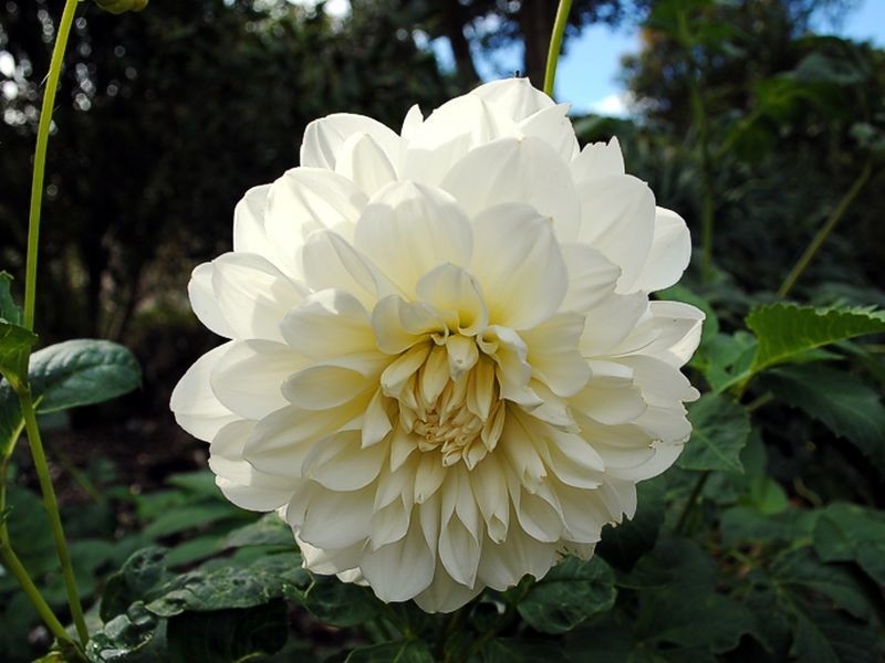 82 Tanahmerah Road, Balhannah SA 5242