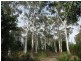 30 Old Carey Gully Road, Stirling SA 5152