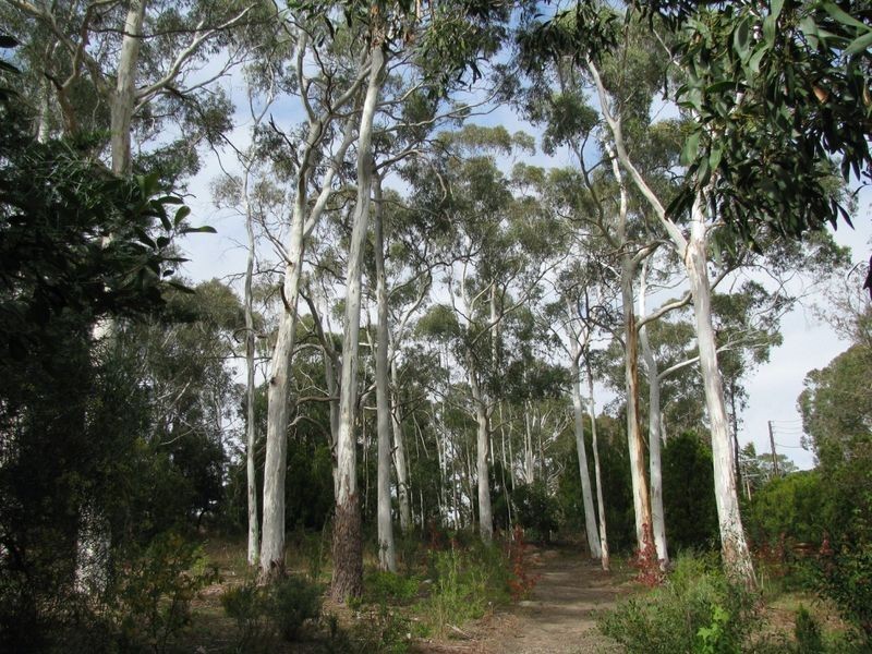30 Old Carey Gully Road, Stirling SA 5152