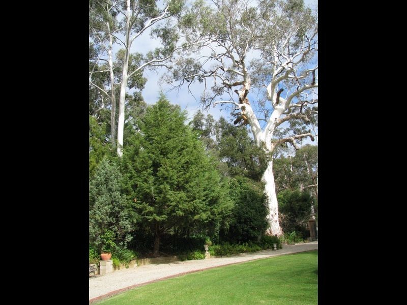 30 Old Carey Gully Road, Stirling SA 5152