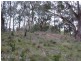 Lot 101 Glen Street, Crafers West SA 5152