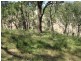 Lot 101 Glen Street, Crafers West SA 5152