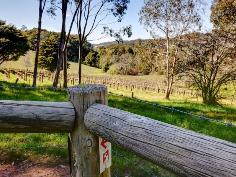 9 Spring Gully Road, Piccadilly SA 5151