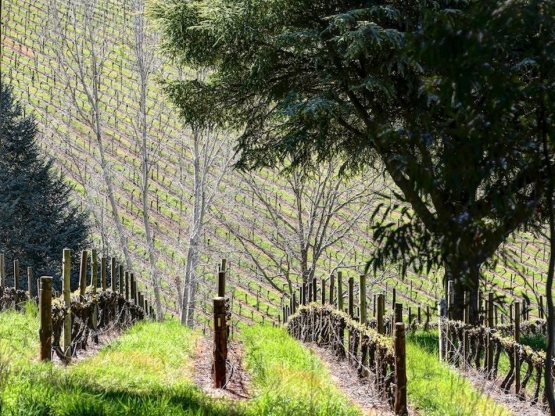 9 Spring Gully Road, Piccadilly SA 5151