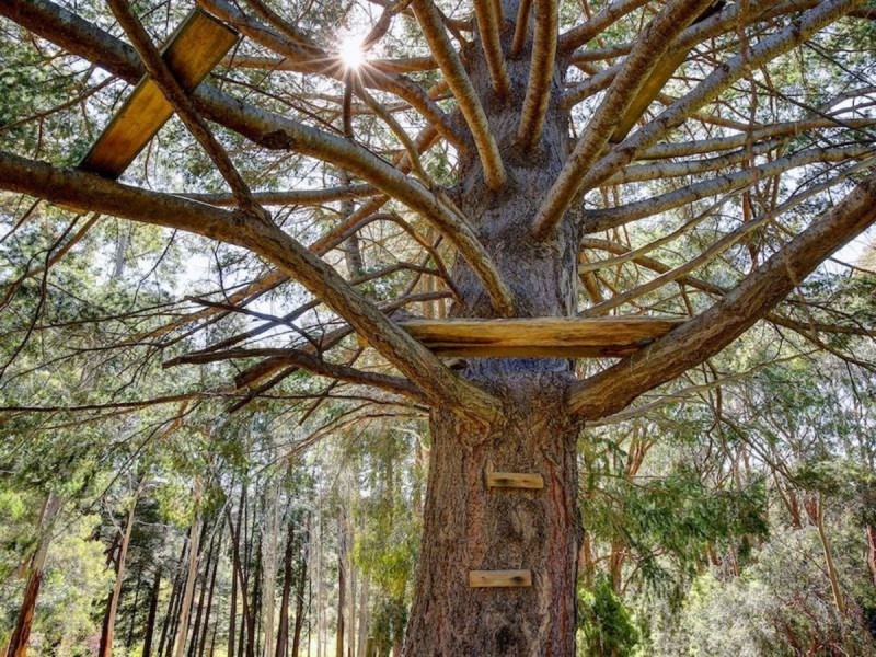 9 Spring Gully Road, Piccadilly SA 5151