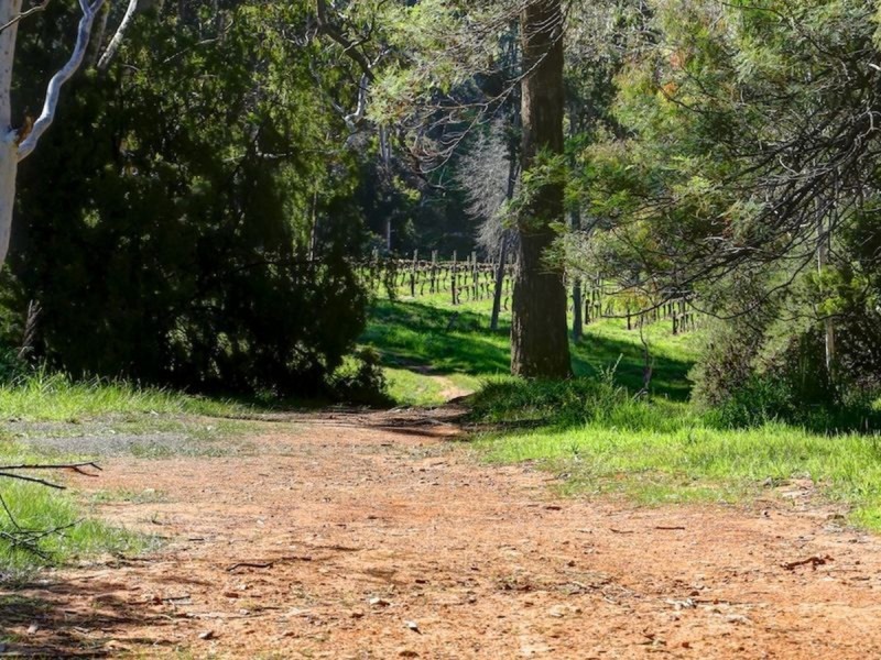 9 Spring Gully Road, Piccadilly SA 5151