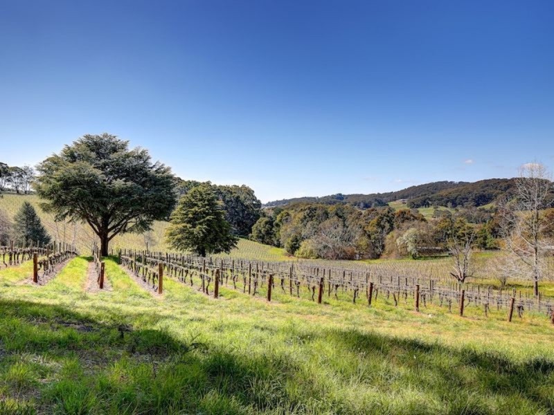 9 Spring Gully Road, Piccadilly SA 5151