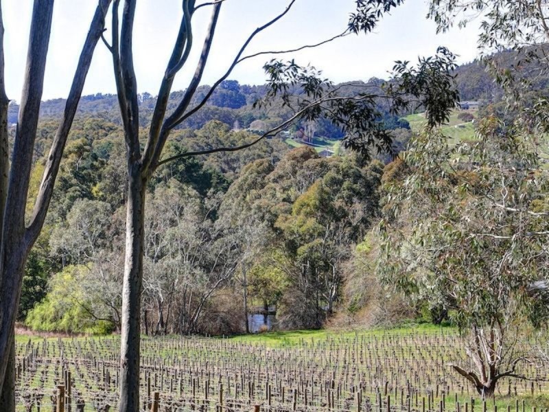 9 Spring Gully Road, Piccadilly SA 5151