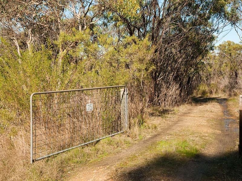 75 Hampton Road, Mylor SA 5153