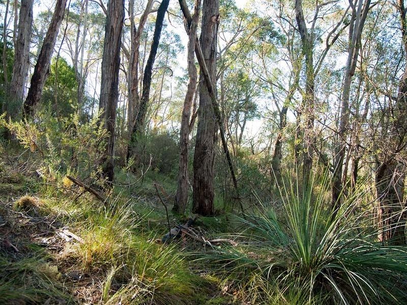 75 Hampton Road, Mylor SA 5153