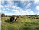 150 Neudorf Road, Lobethal SA 5241