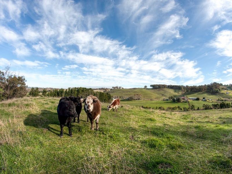 150 Neudorf Road, Lobethal SA 5241