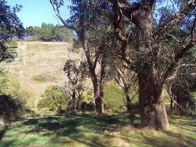 Lot 101 Glen Street, Crafers West SA 5152