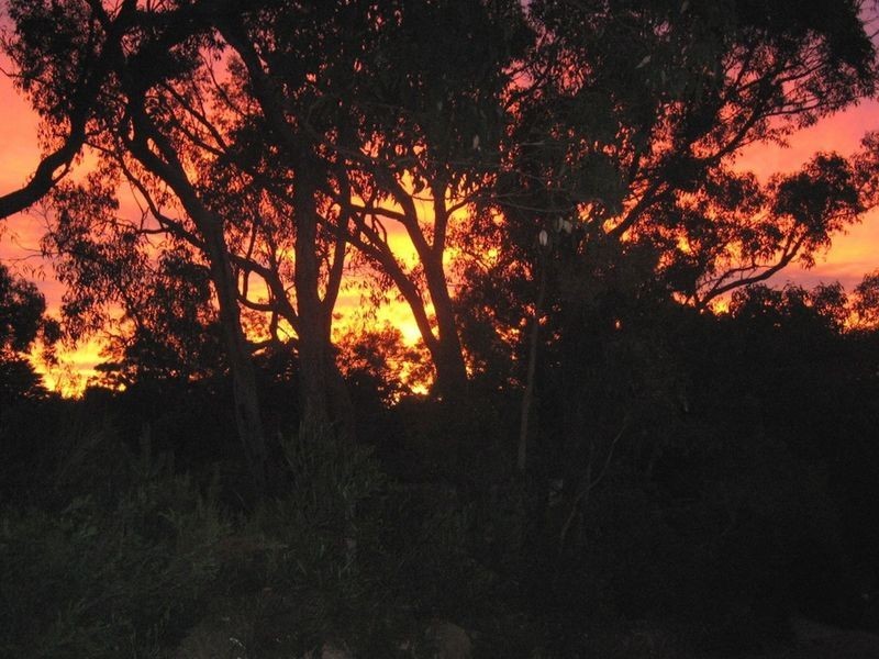 Lot 101 Glen Street, Crafers West SA 5152