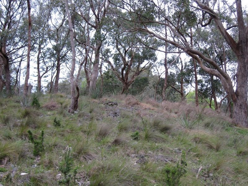 Lot 101 Glen Street, Crafers West SA 5152