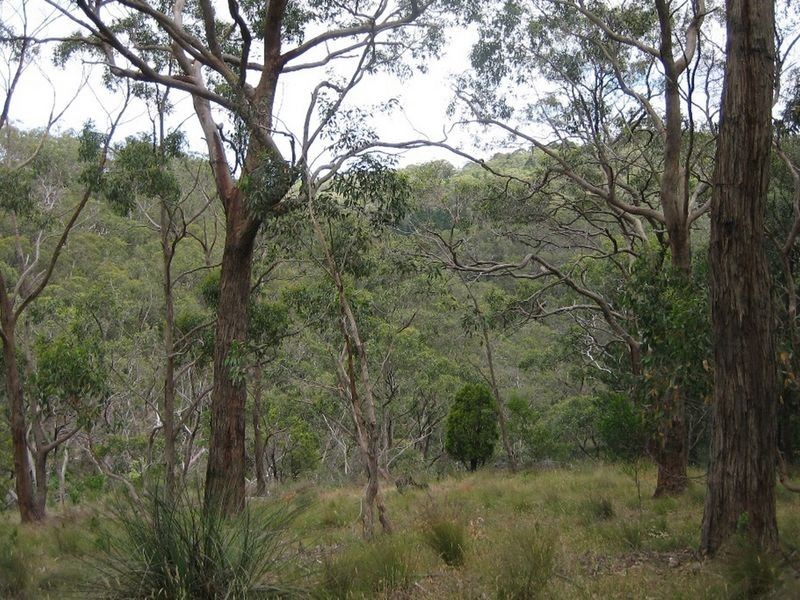 Lot 101 Glen Street, Crafers West SA 5152