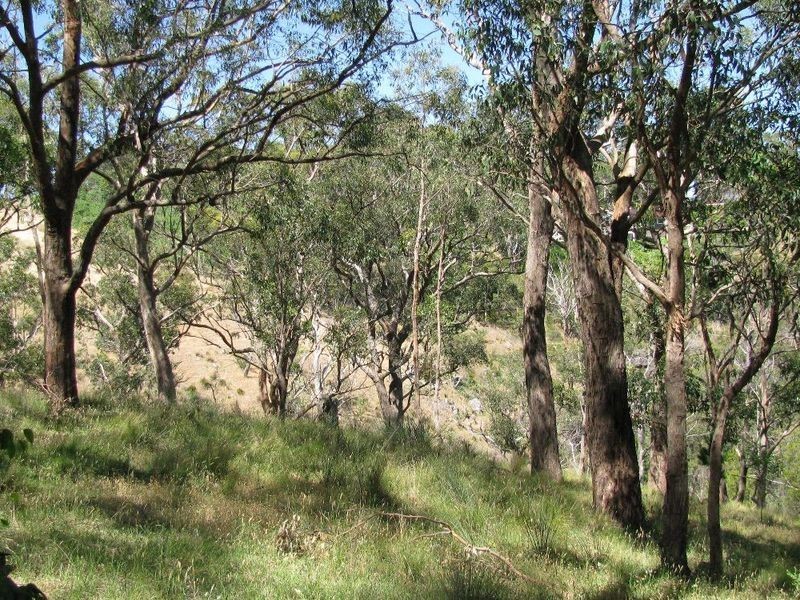 Lot 101 Glen Street, Crafers West SA 5152