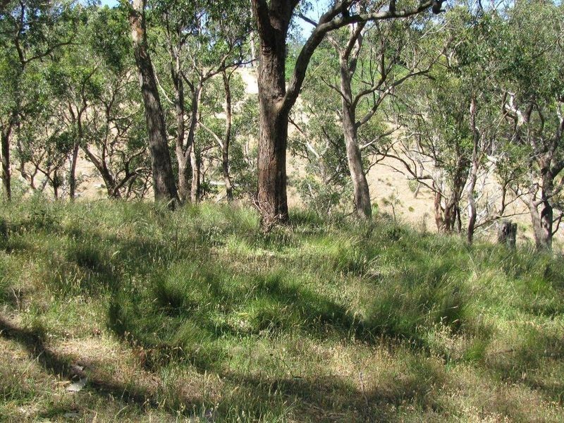 Lot 101 Glen Street, Crafers West SA 5152