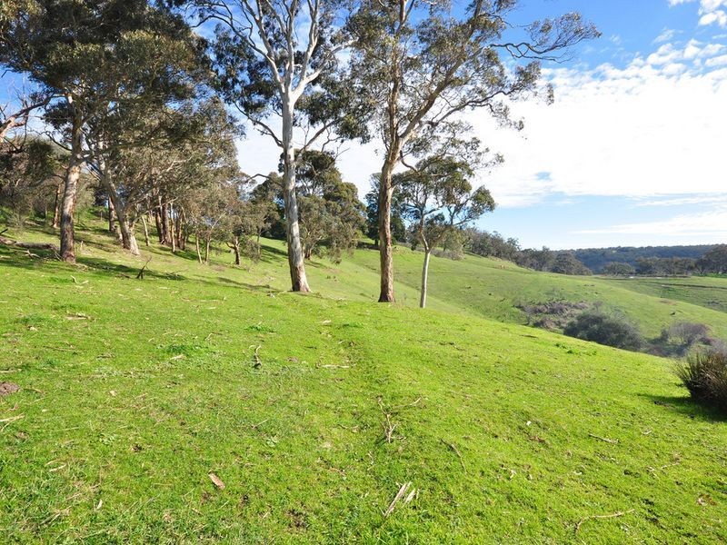 381 Cherry Gardens Road, Cherry Gardens SA 5157