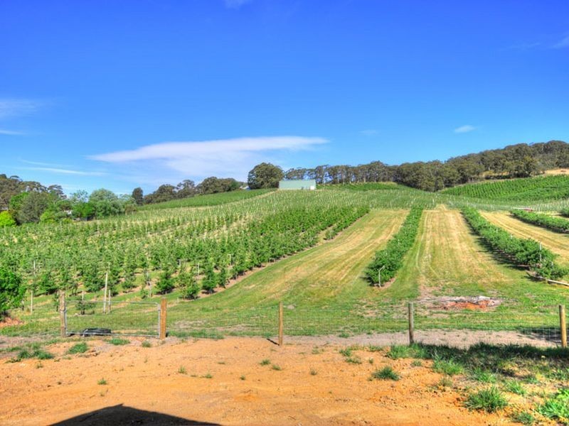 1122 Lobethal Road, Forest Range SA 5139