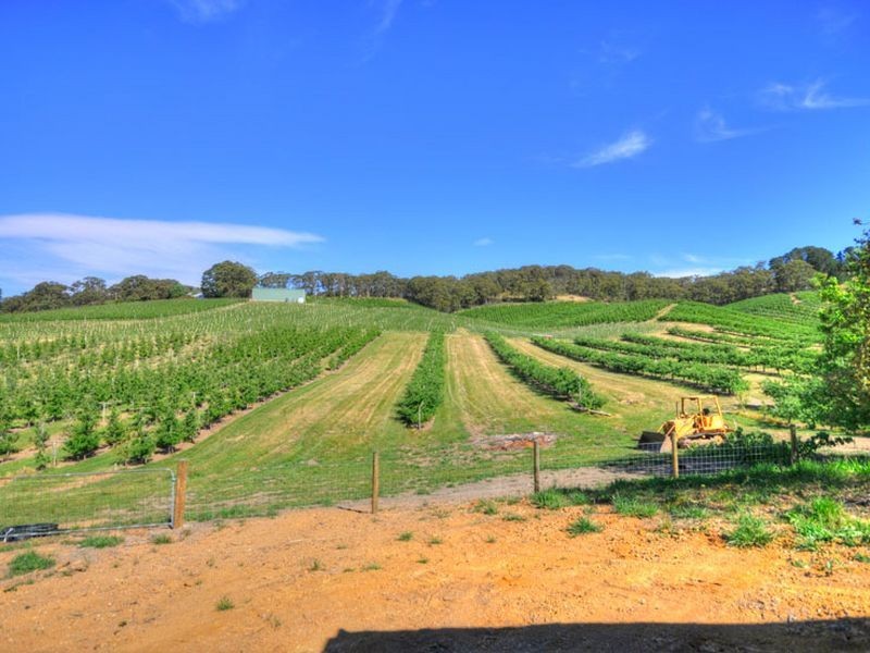 1122 Lobethal Road, Forest Range SA 5139