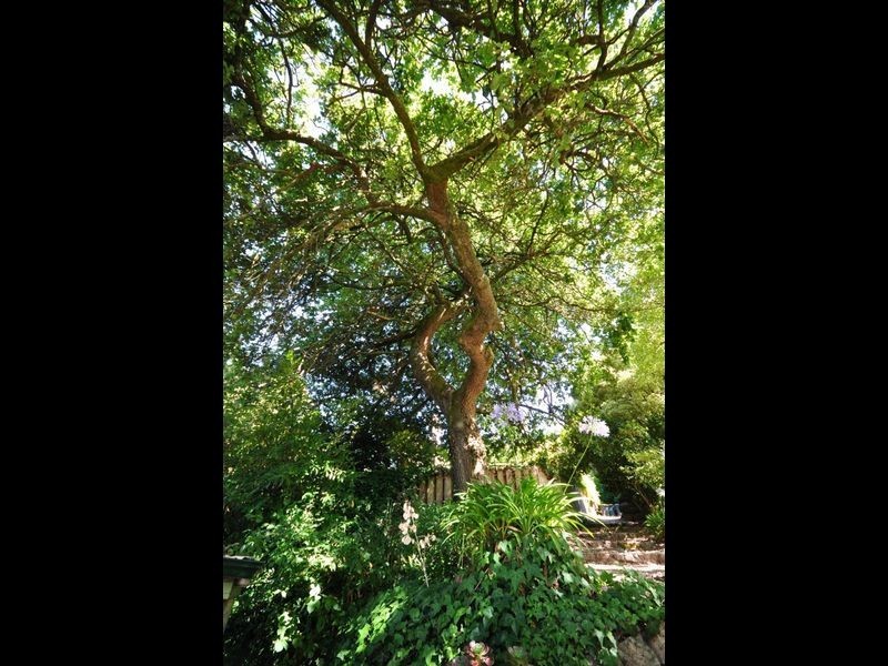 64B Old Mount Barker Road, Stirling SA 5152