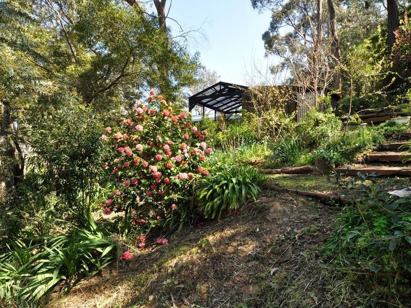 8 Cherry Pine Place, Aldgate SA 5154