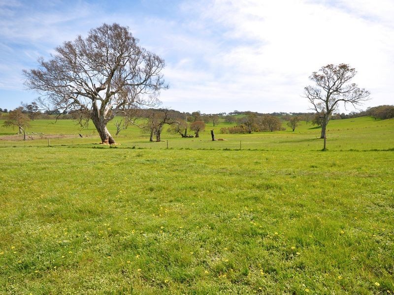 87 R Hicks Road, Mount Torrens SA 5244