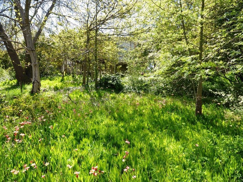 32 Milan Terrace, Stirling SA 5152