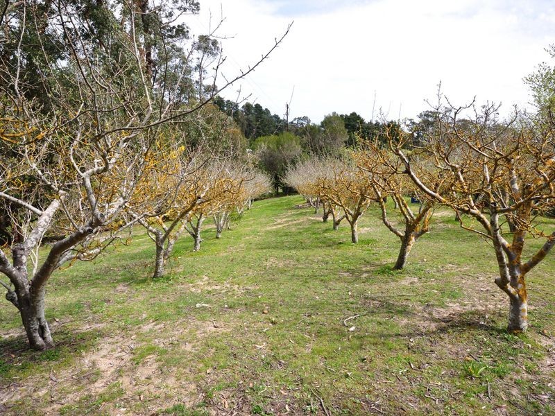 18 Monomeith Road, Ashton SA 5137