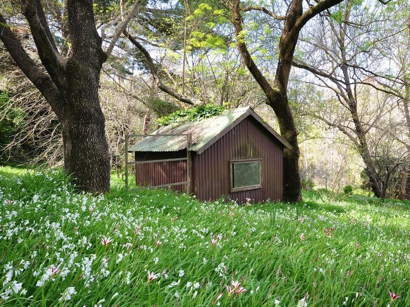 25 Lewis Avenue, Aldgate SA 5154