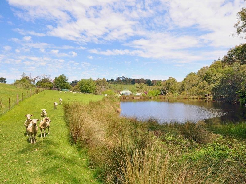 451 Longwood Road, Longwood SA 5153