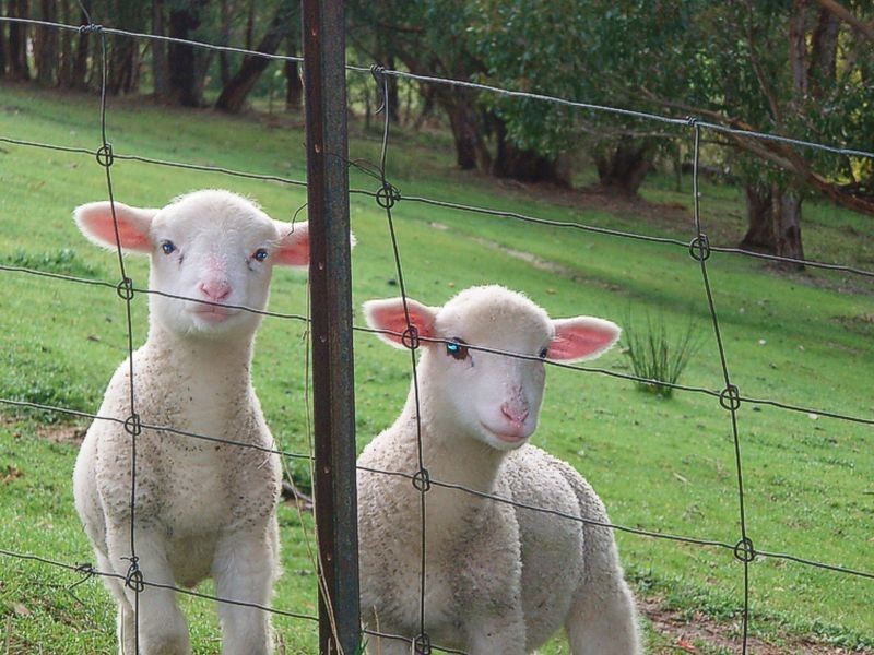 451 Longwood Road, Longwood SA 5153