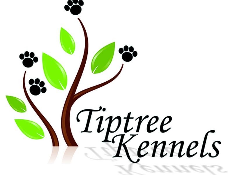 1011 Strathalbyn Road, Biggs Flat SA 5153