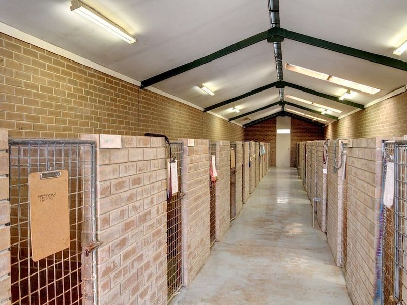 1011 Strathalbyn Road, Biggs Flat SA 5153