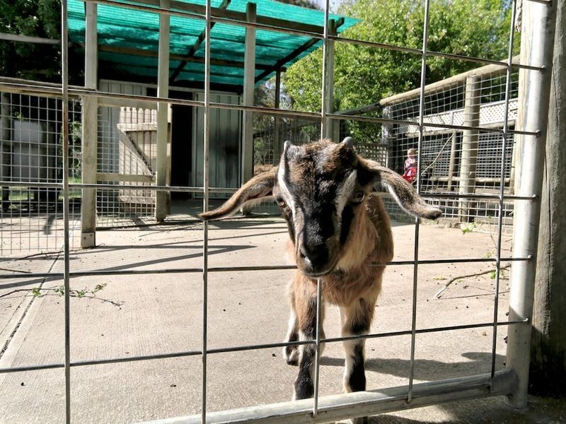 1011 Strathalbyn Road, Biggs Flat SA 5153