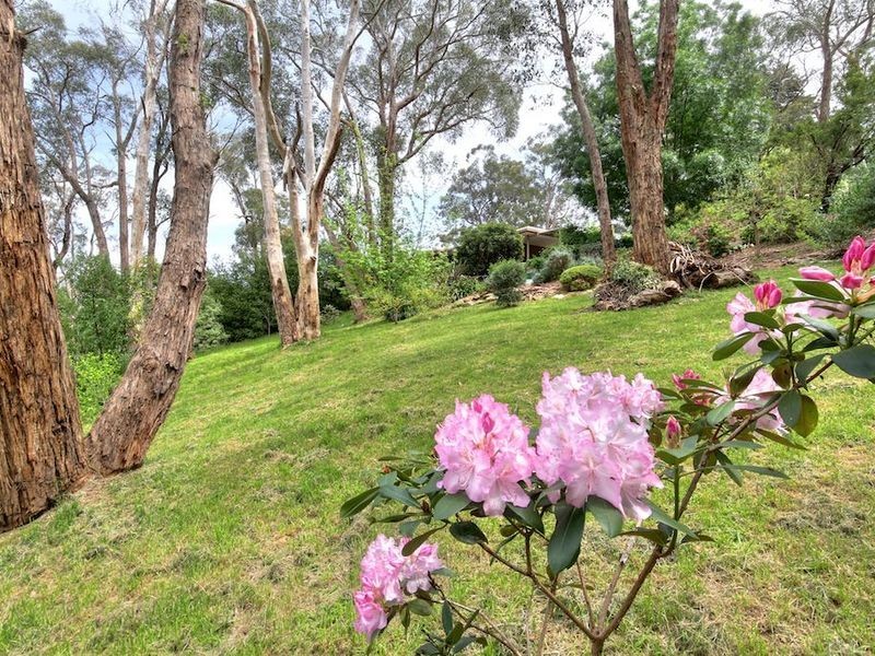 2 Edward Avenue, Crafers West SA 5152