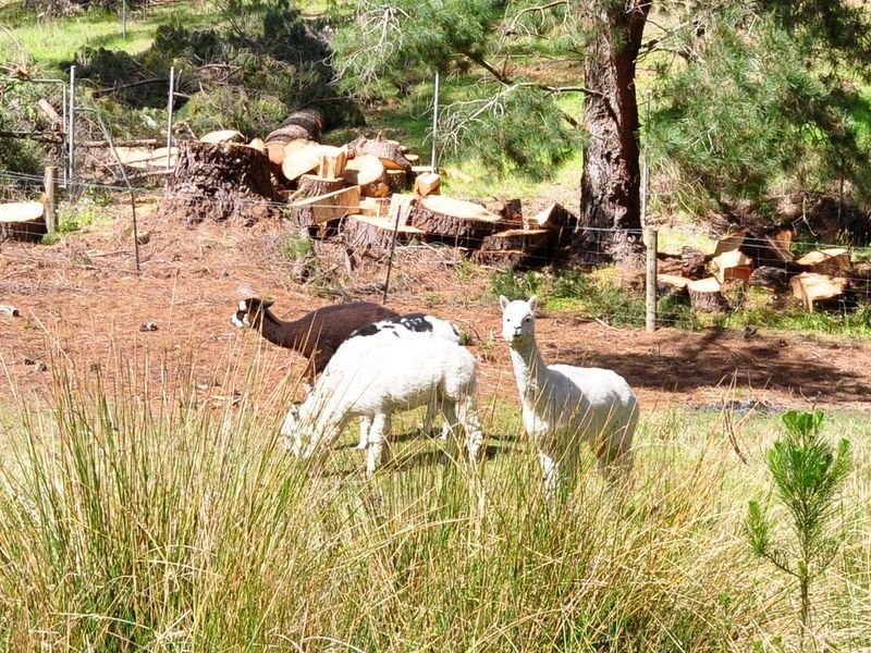 111 Sturt Valley Road, Stirling SA 5152