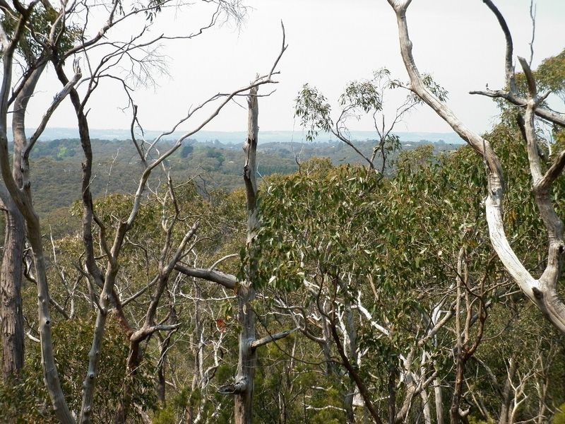 Lot 49 Upper Sturt Road, Crafers SA 5152