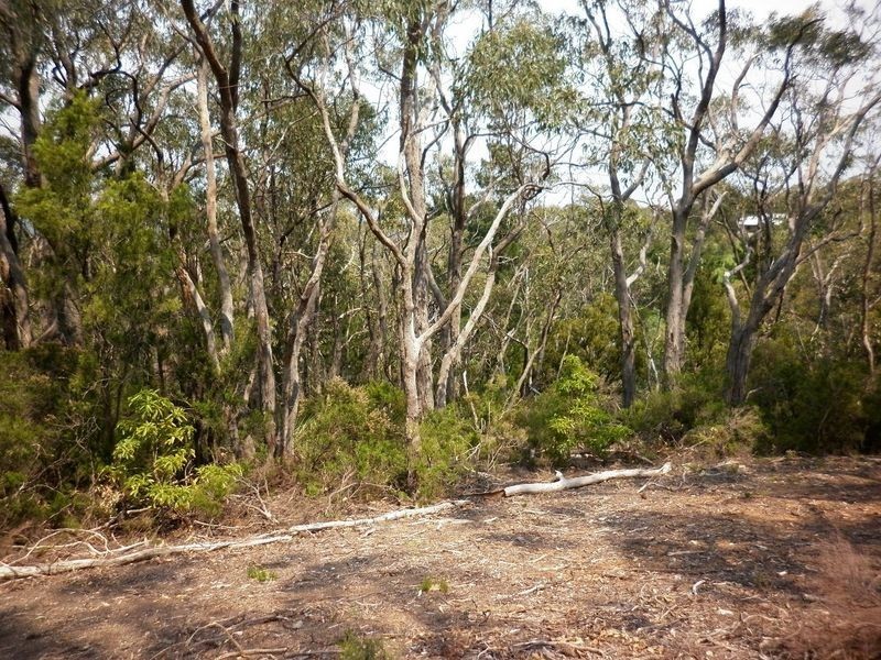 Lot 49 Upper Sturt Road, Crafers SA 5152