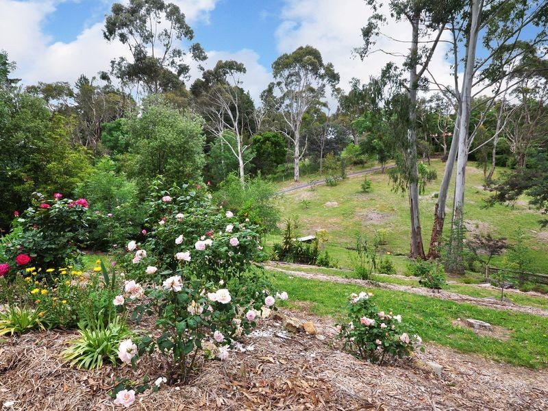 16 Rogers Court, Aldgate SA 5154