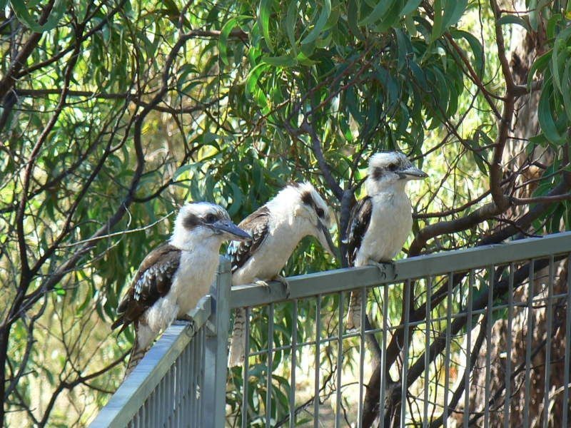 69 Sheaok Road, Crafers West SA 5152