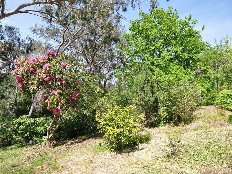 17 Princes Avenue, Crafers West SA 5152