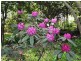 17 Princes Avenue, Crafers West SA 5152