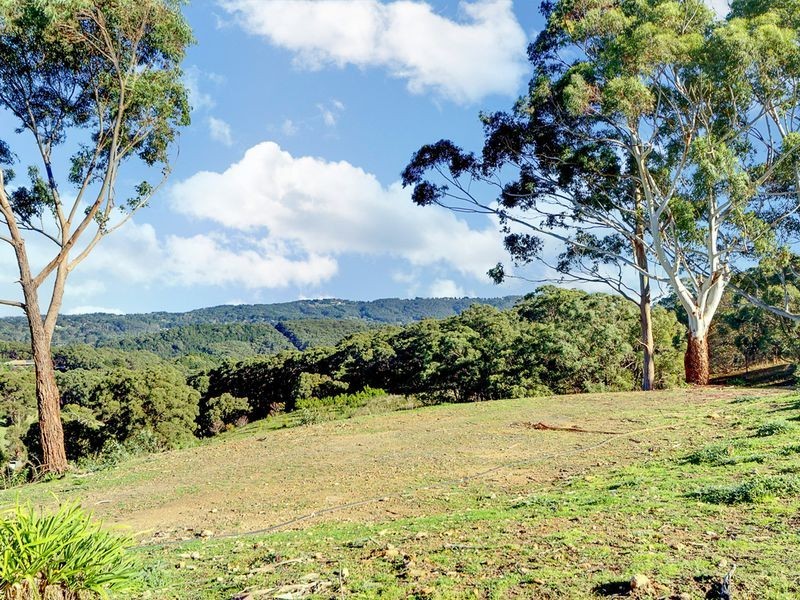 315 Bridgewater-Carey Gully Road, Bridgewater SA 5155