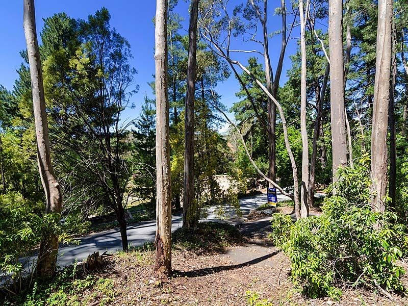 14 Manoah Drive, Upper Sturt SA 5156