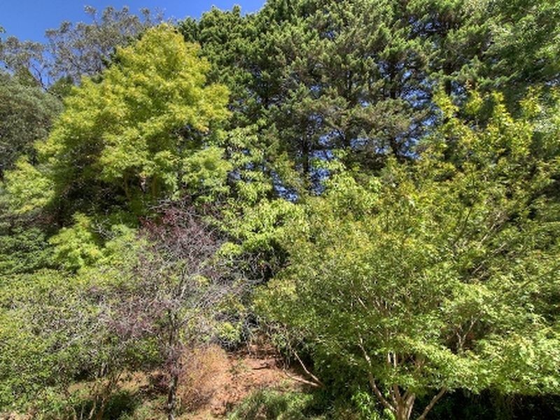 25 Birch Road, Stirling SA 5152