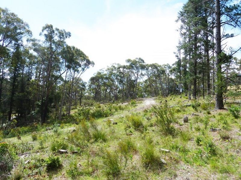 51 Emmett Road, Crafers West SA 5152