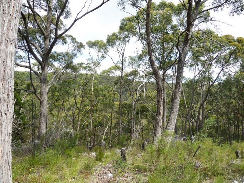 51 Emmett Road, Crafers West SA 5152